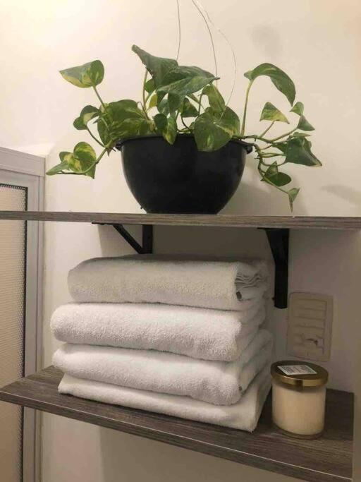 مونتيري Comfortable And Private House 2 Bedrooms Wifi Parking Free المظهر الخارجي الصورة